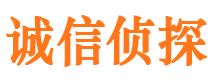 鲁山寻人公司